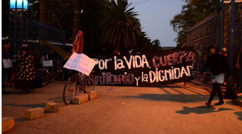 Bolivia: mujeres movilizadas contra la violencia  fueron reprimidas y encarceladas