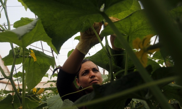 ¿Qué desigualdades frenan la adaptación de las cubanas al cambio climático?