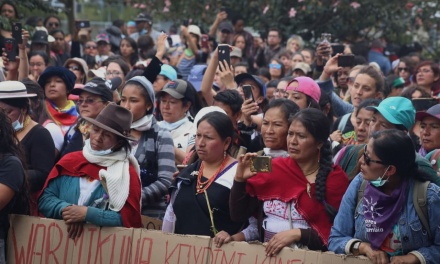 Mujeres indígenas en el movimiento:  el proceso de una voz propia