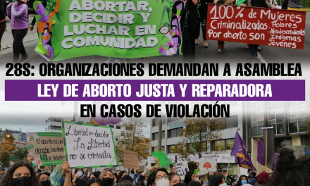 28S: Organizaciones demandan a Asamblea aprobación de ley de aborto justa y reparadora en casos de violación