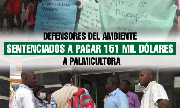 Defensores del ambiente sentenciados a pagar 151 mil dólares a palmicultora