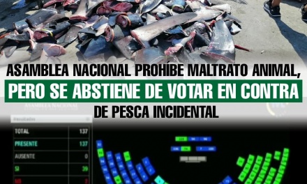 Asamblea Nacional prohíbe maltrato animal, pero se abstiene de votar en contra de pesca incidental