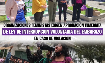 Organizaciones feministas exigen aprobación inmediata de ley de Interrupción Voluntaria del embarazo en caso de violación