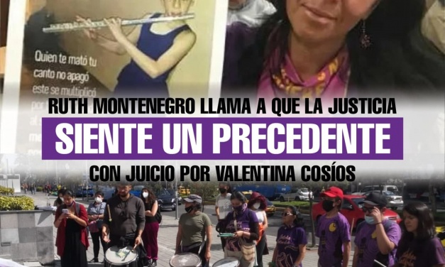 Ruth Montenegro llama a que la justicia siente un precedente con juicio por Valentina Cosíos