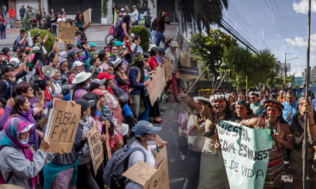 Más de 371 pedidos de amnistía se discuten en la Asamblea de Ecuador