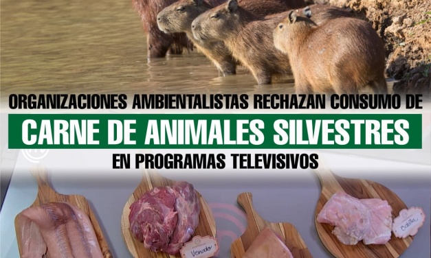 Organizaciones ambientalistas rechazan consumo de carne de animales silvestres en programas televisivos
