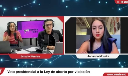 Johanna Moreira: “El veto a la Ley de Interrupción Voluntaria del Embarazo en Casos de Violación, no solo es ilógico, es inhumano”