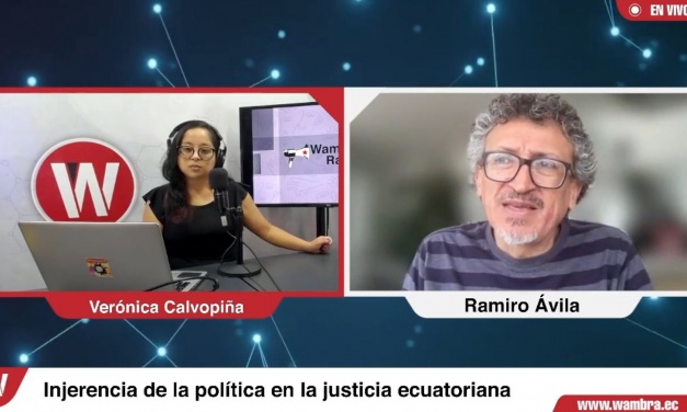 Ramiro Ávila: “La Constitución establece que cuando la objeción presidencial se base en argumentos de inconstitucionalidad, la Corte debe pronunciarse”