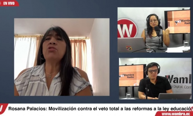 Rosana Palacios: “la educación de calidad, integral y de gratuidad es un derecho humano y dentro de ese derecho está la equiparación salarial”