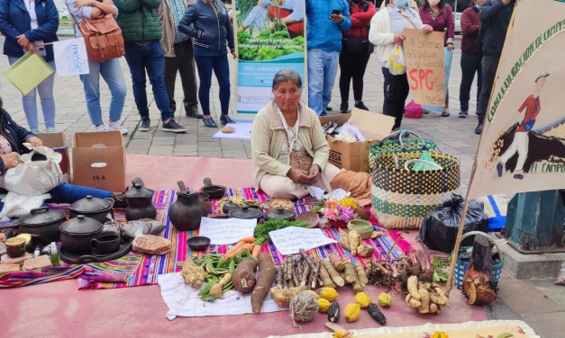 Movimientos agroecológicos rechazan el control de Agrocalidad a su producción agrícola