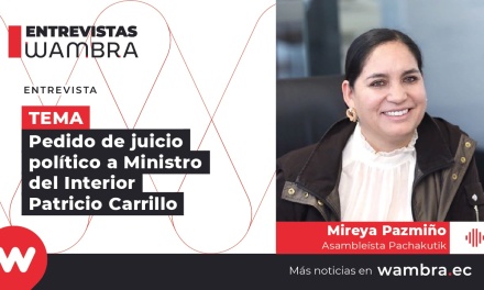 Mireya Pazmiño sobre juicio político a ministro Patricio Carrillo