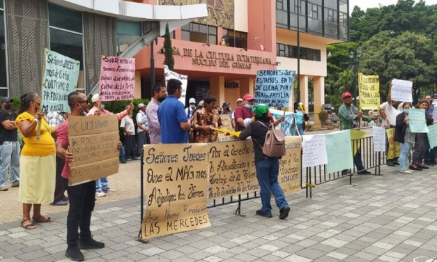 Familias campesinas exigen adjudicación de la hacienda Las Mercedes