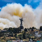 Los bosques arden en América Latina