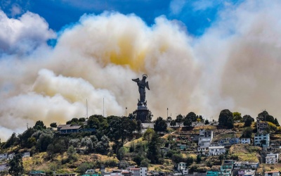 Los bosques arden en América Latina