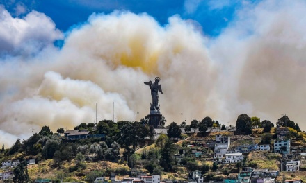 Los bosques arden en América Latina