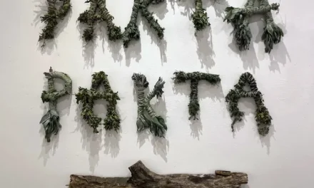 PAKTA PAKTA, cuando el arte acompaña la resistencia y moviliza la dignidad