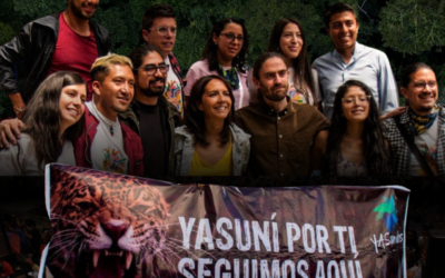 ¿Quién y qué está detrás de la sanción al colectivo YASunidos por parte del TCE?